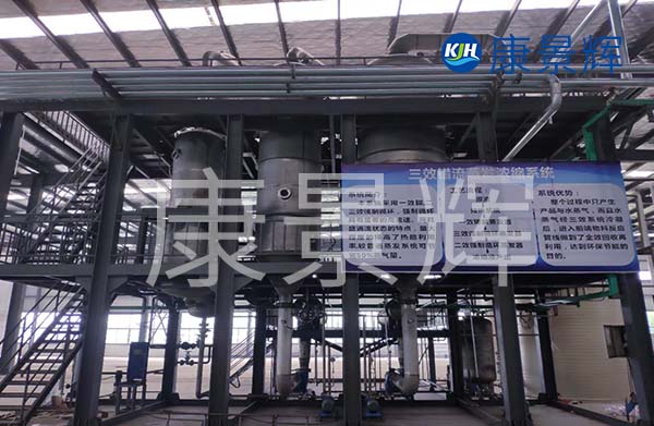 多效降膜蒸發(fā)器可以用來濃縮處理廢水，特別適合處理牛奶、淀粉、葡萄糖等食品廠廢水的加工處理中